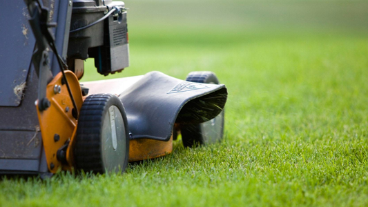 Lawn Watering Tips - When Is the Best Time to Water Your Lawn