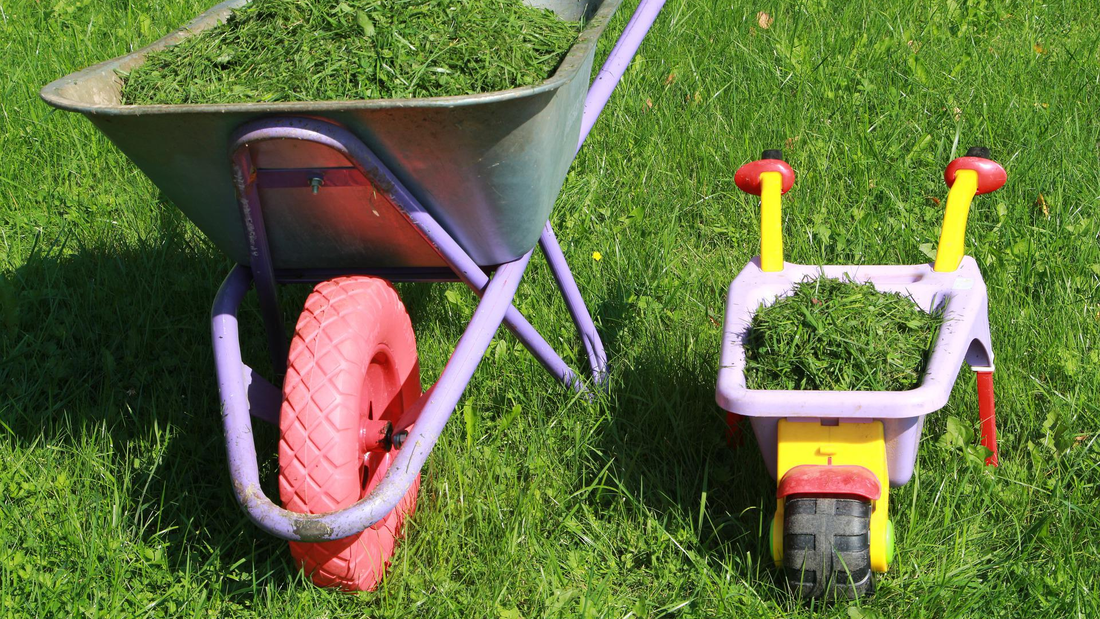 Grass & Lawn Care for Beginners