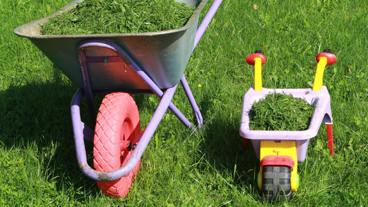 Grass & Lawn Care for Beginners