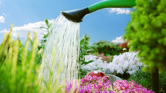 Seven Lawn Care Tips