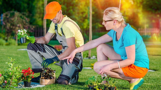 Five Big Lawn Care Mistakes Most People Make